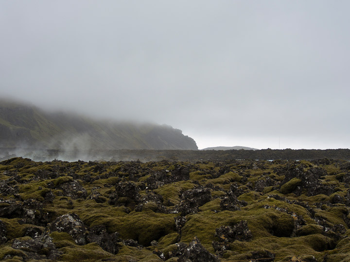 the blue lagoon in iceland moss rocks